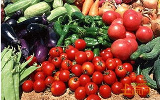 河南省食品农产品出口总体发展规划（2010-2015年）