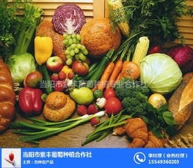 洛阳绿色农产品选购指南 探寻品质与信赖的源泉