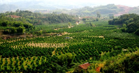 广饶一农产品品牌荣膺全省知名企业产品品牌，区域农业品牌建设再谱新篇