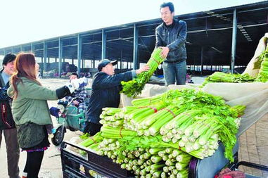 商丘农产品批发市场 交易繁荣，绘就农业新篇章