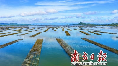 从田野到流水线 论以工业化思维重塑现代农业