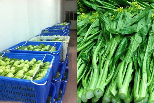 韶关市农产品高效配送方案