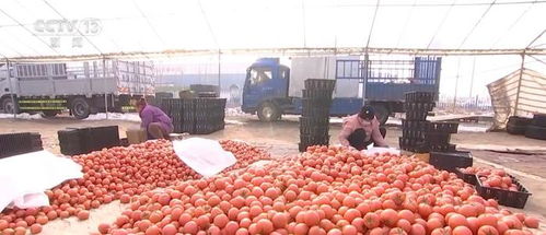 开发衍生农产品，发展创意农业 乡村振兴展现别样美